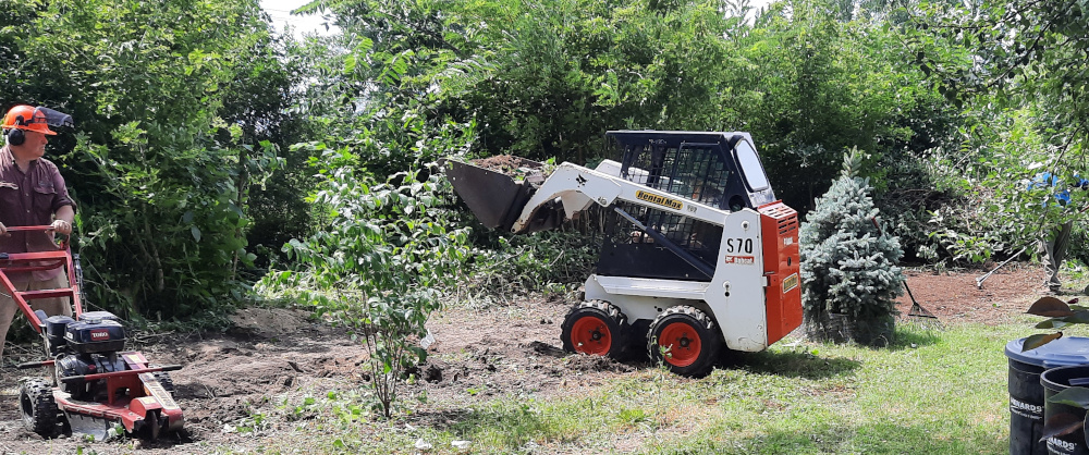 debbie skid steer land clearing cropped resized